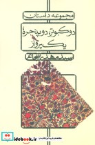 قیمت و خرید کتاب دو کبوتر دو پنجره یک پرواز | ایده بوک