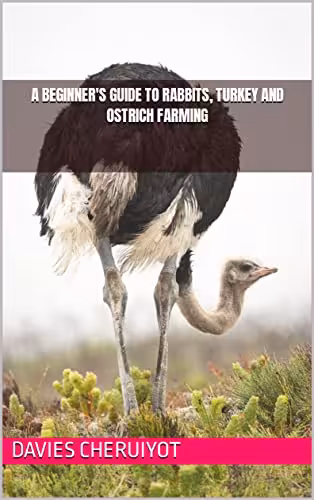 خرید و دانلود نسخه کامل کتاب A BEGINNER'S GUIDE TO RABBITS, TURKEY AND OSTRICH FARMING (Farm management) -   PDF