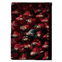 کلاسور طرح سریال MONEY HEIST کد kls17 | چاوه