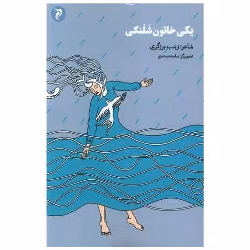 کتاب یکی خاتون شلنگی اثر زینب برزگری