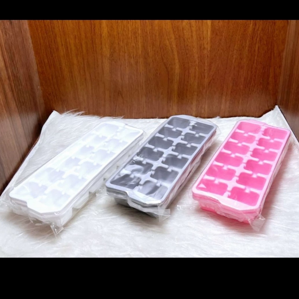 قالب یا جا یخی پلاستیکی جفتی در پلاسکو دهقان 