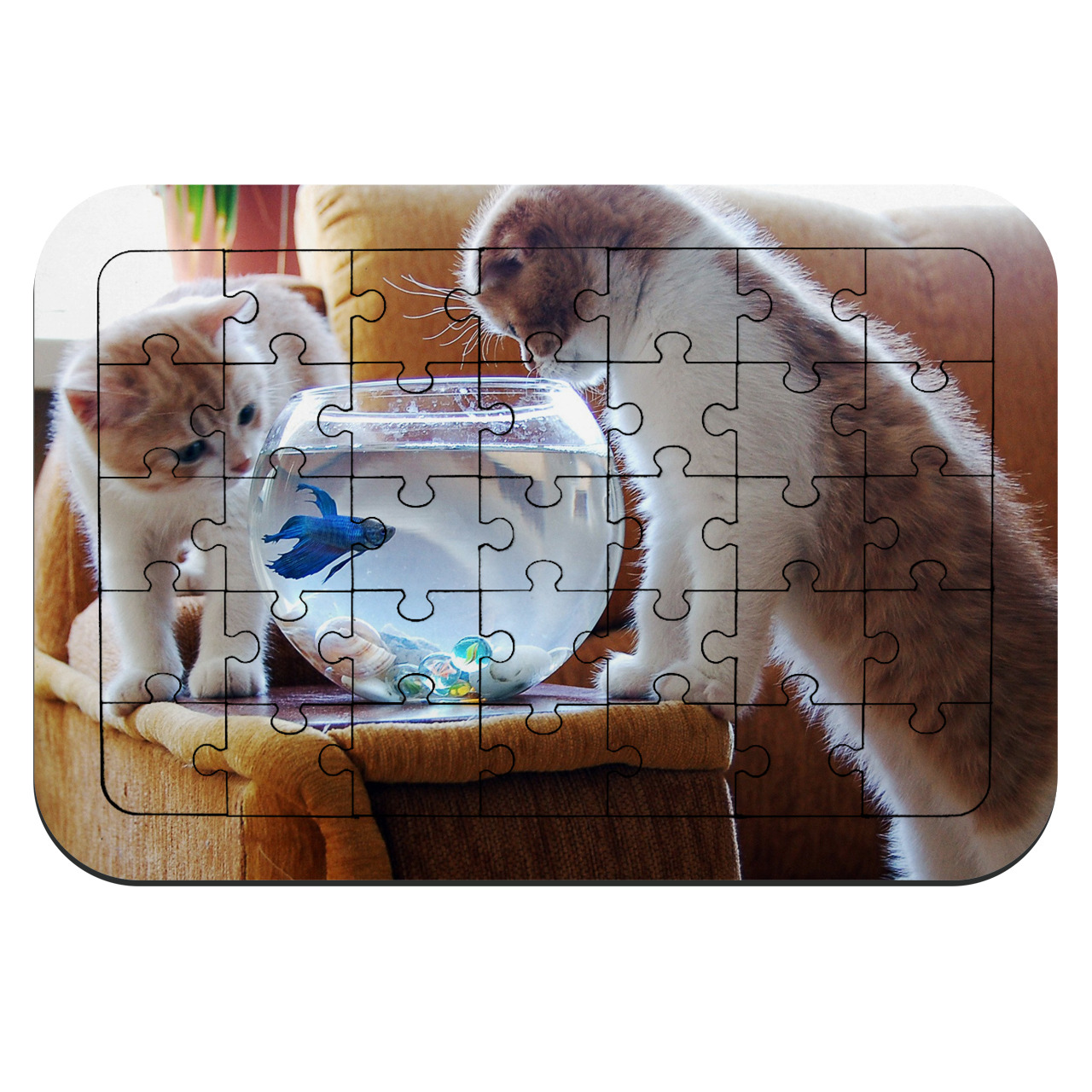 پازل 35 تکه طرح بچه گربه های بازیگوش مدل NI99