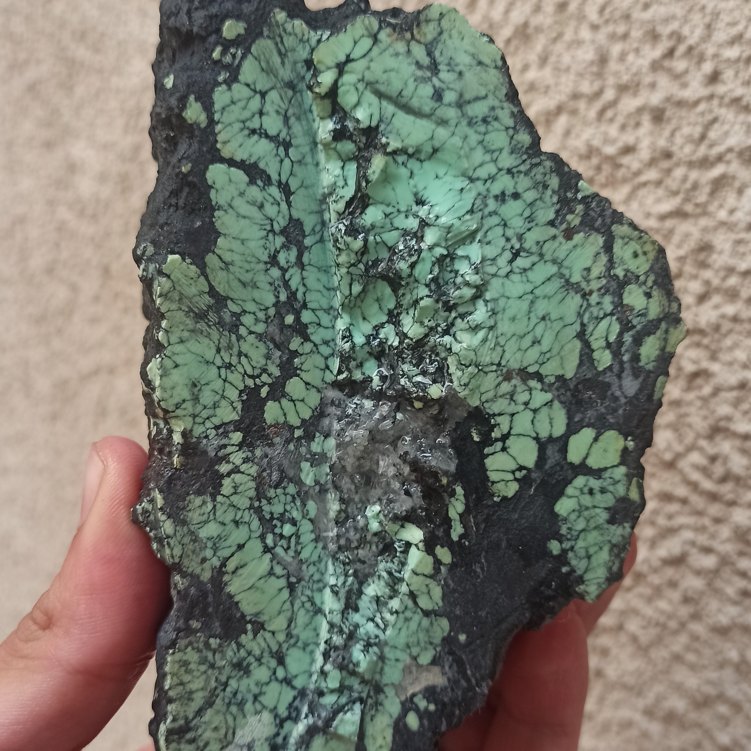 راف واریسیت کلکسیونی مناسب برای تراش کد 763