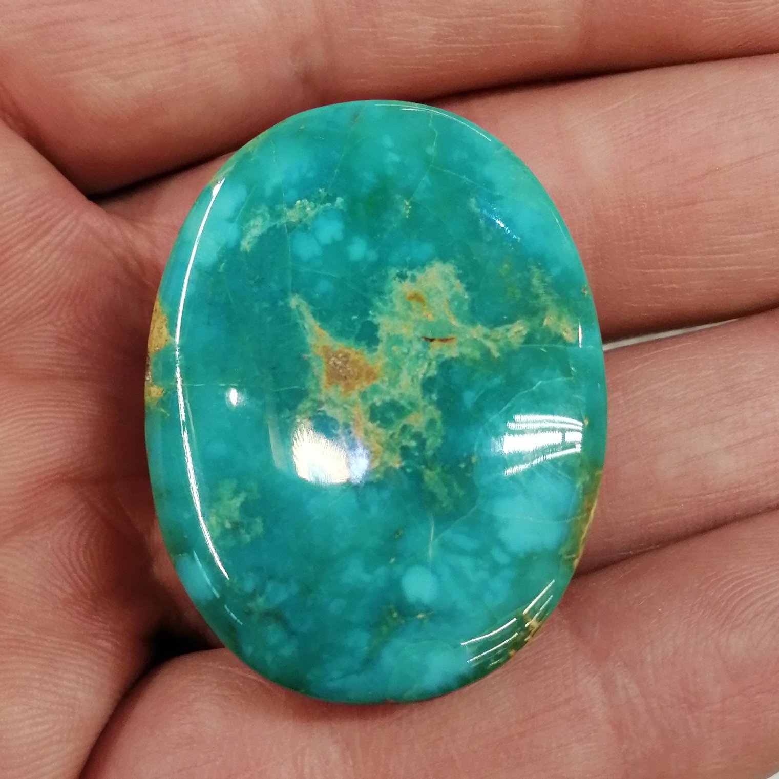 فیروزه نشابوری