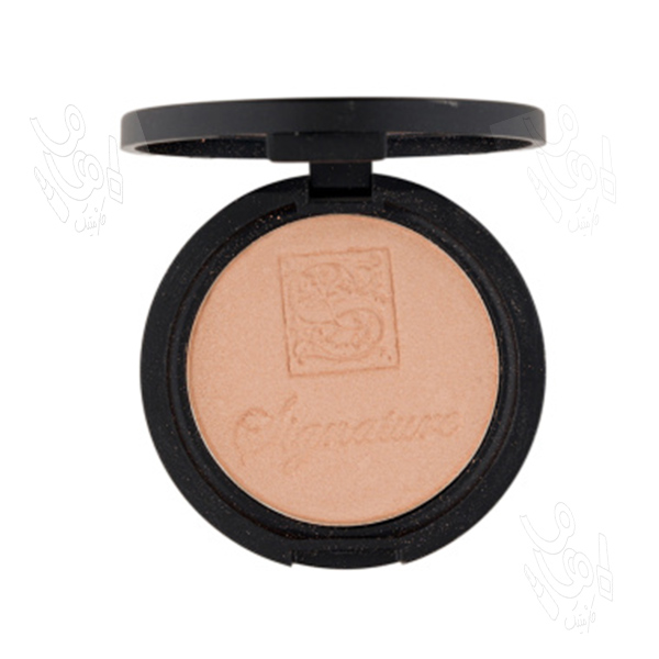 هایلایتر سیگنیچر کد 104