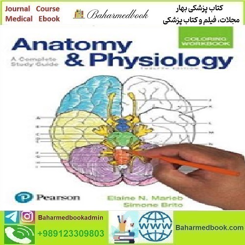Anatomy and Physiology Coloring Workbook A Complete Study