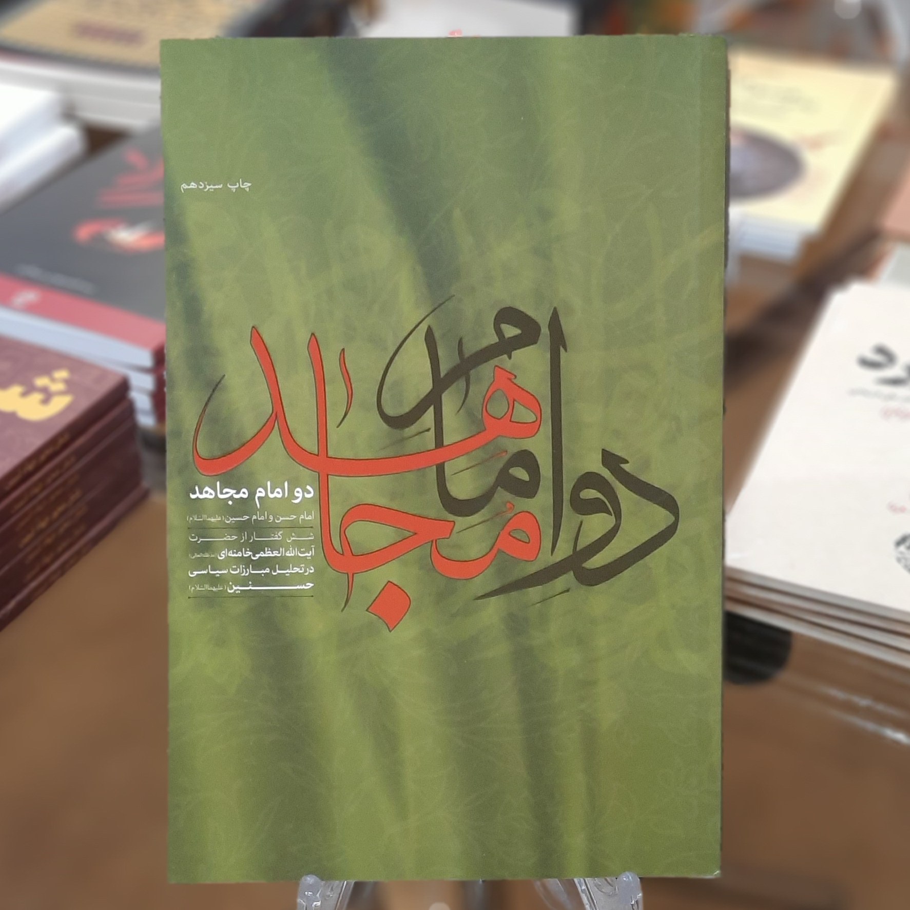 کتاب دو امام مجاهد(شش گفتار از آیت الله خامنه ای درتحلیل مبارزات سیاسی حسنین(ع))