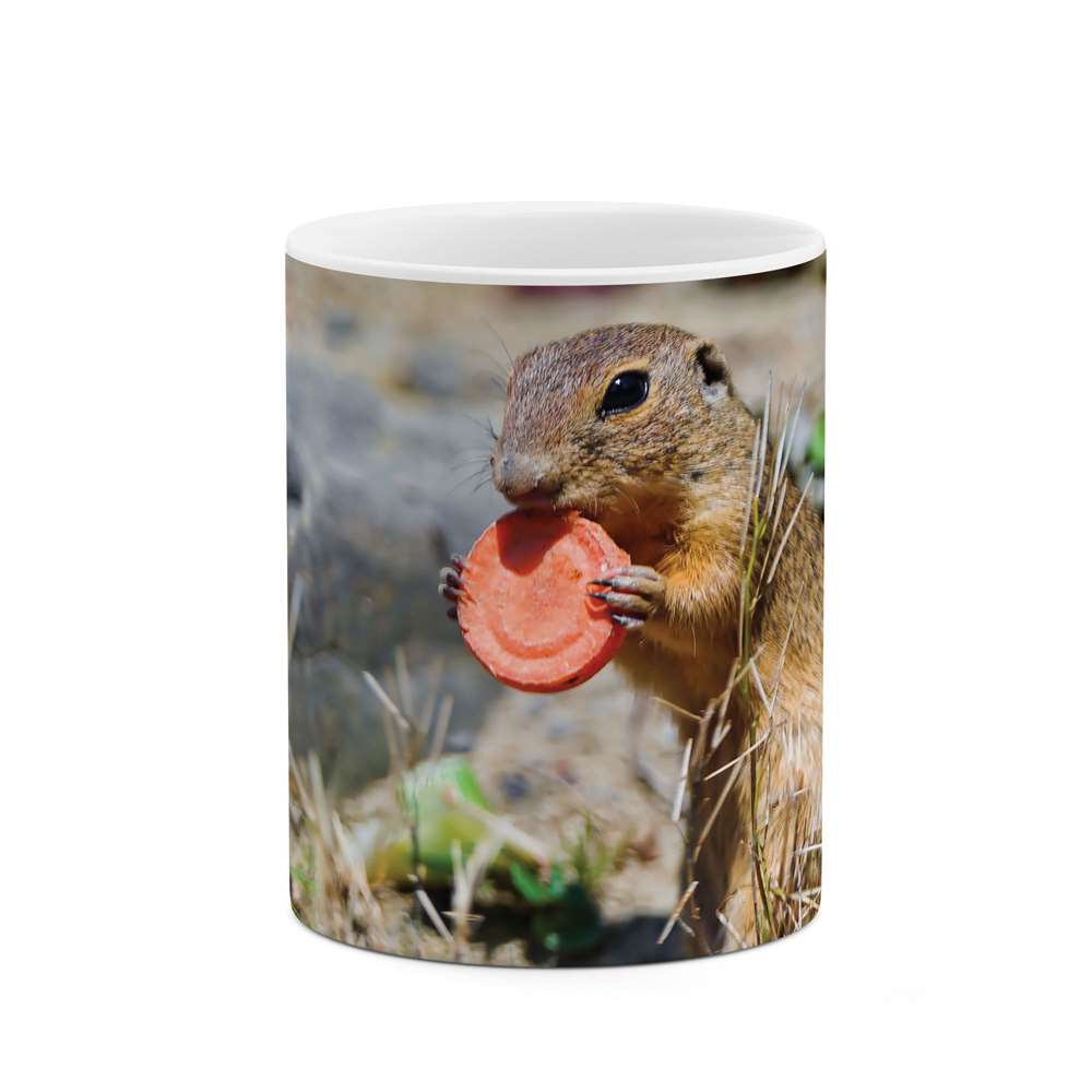 ماگ طرح سنجاب مدل mgs10099