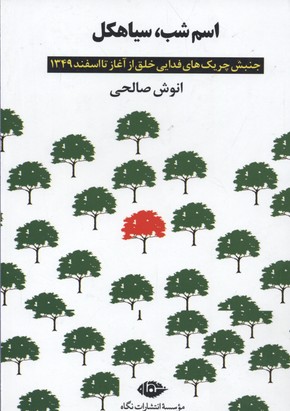 اسم شب، سیاهکل: جنبش چریکهای فدایی خلق از آغاز تا اسفند 1349