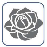 شابلون طرح گل کد 655 سایز 40 در 60 