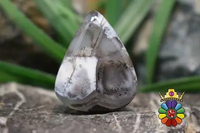 اپال دندریت