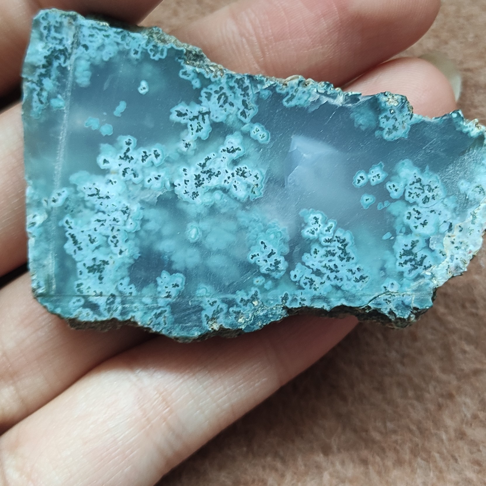 سنگ راف شجر مرجانی  فوق العاده اصیل و خاص مختص کلکسیون باز ها