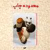پازل 35 تکه مدل پاندا مونگ فو کار کد 26