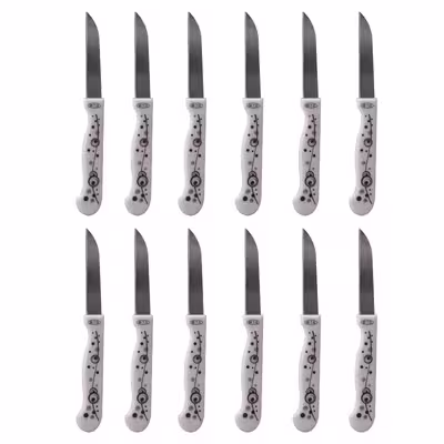 کارد میوه خوری مدل Joint-ch-03 بسته 12 عددی