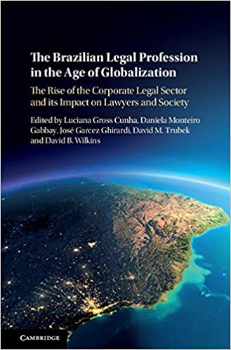 خرید و دانلود نسخه کامل کتاب The Brazilian Legal Profession in the Age of Globalization: The Rise of the Corporate Legal Sector and its Impact on Lawyers and Society