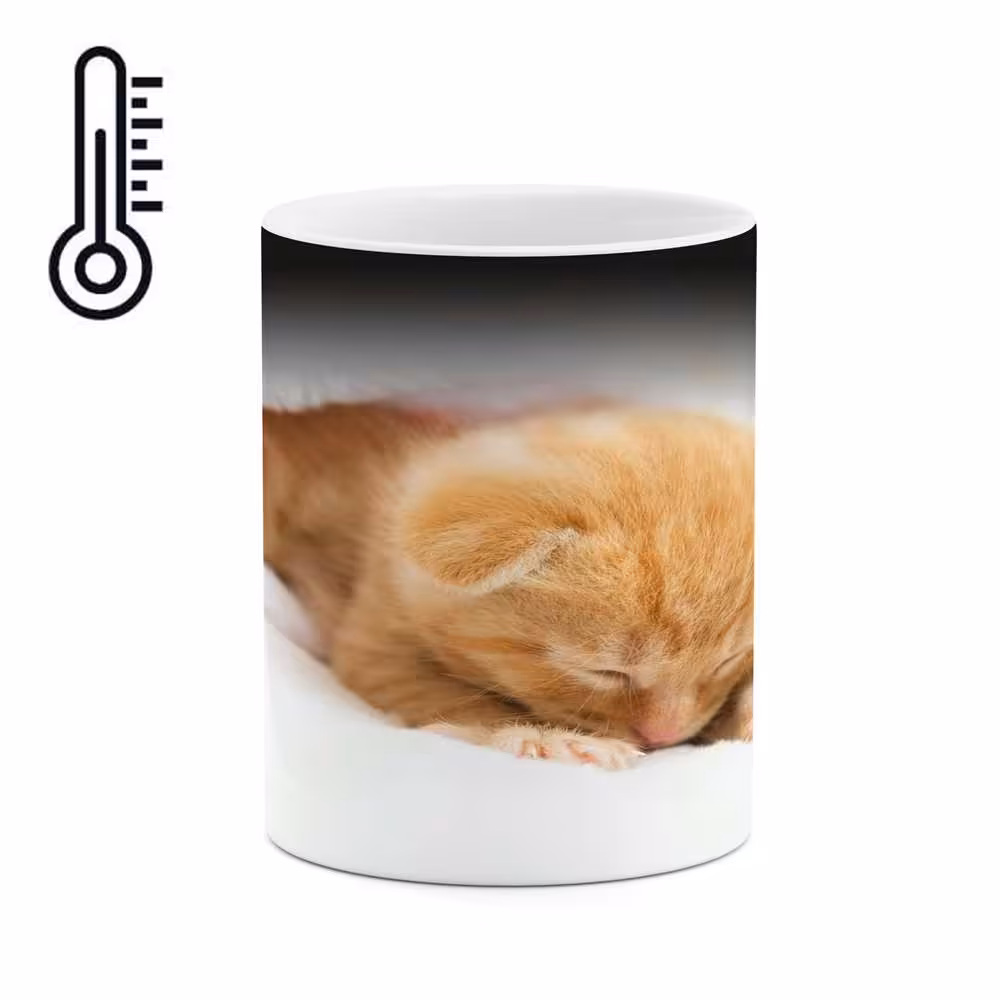 ماگ حرارتی کاکتی طرح گربه مدل mgh16003