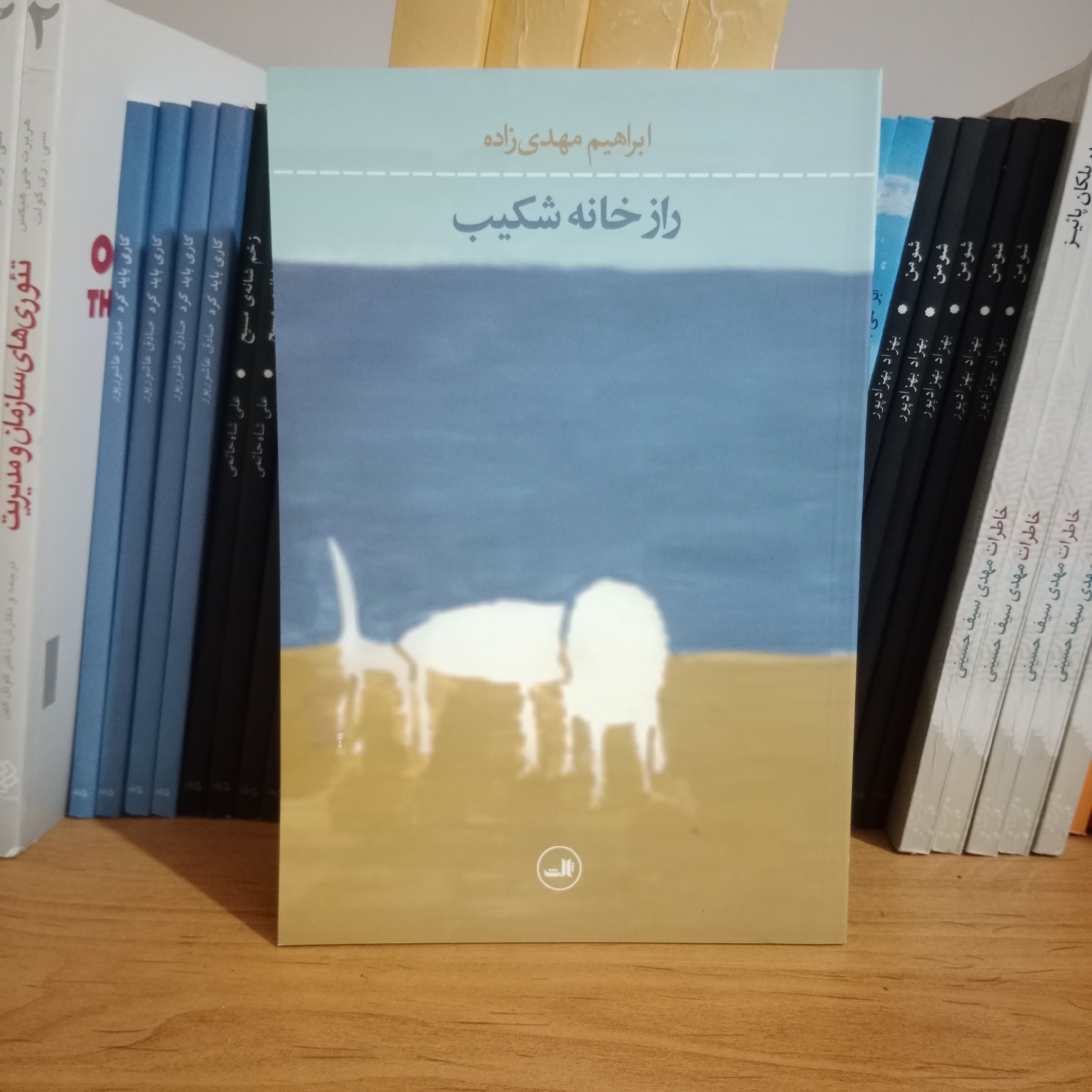 کتاب راز خانه شکیب