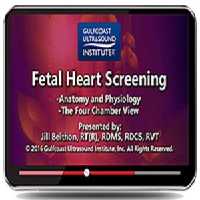 Gulfcoast Fetal Heart Screening at 10€ - کتاب پزشکی بهار