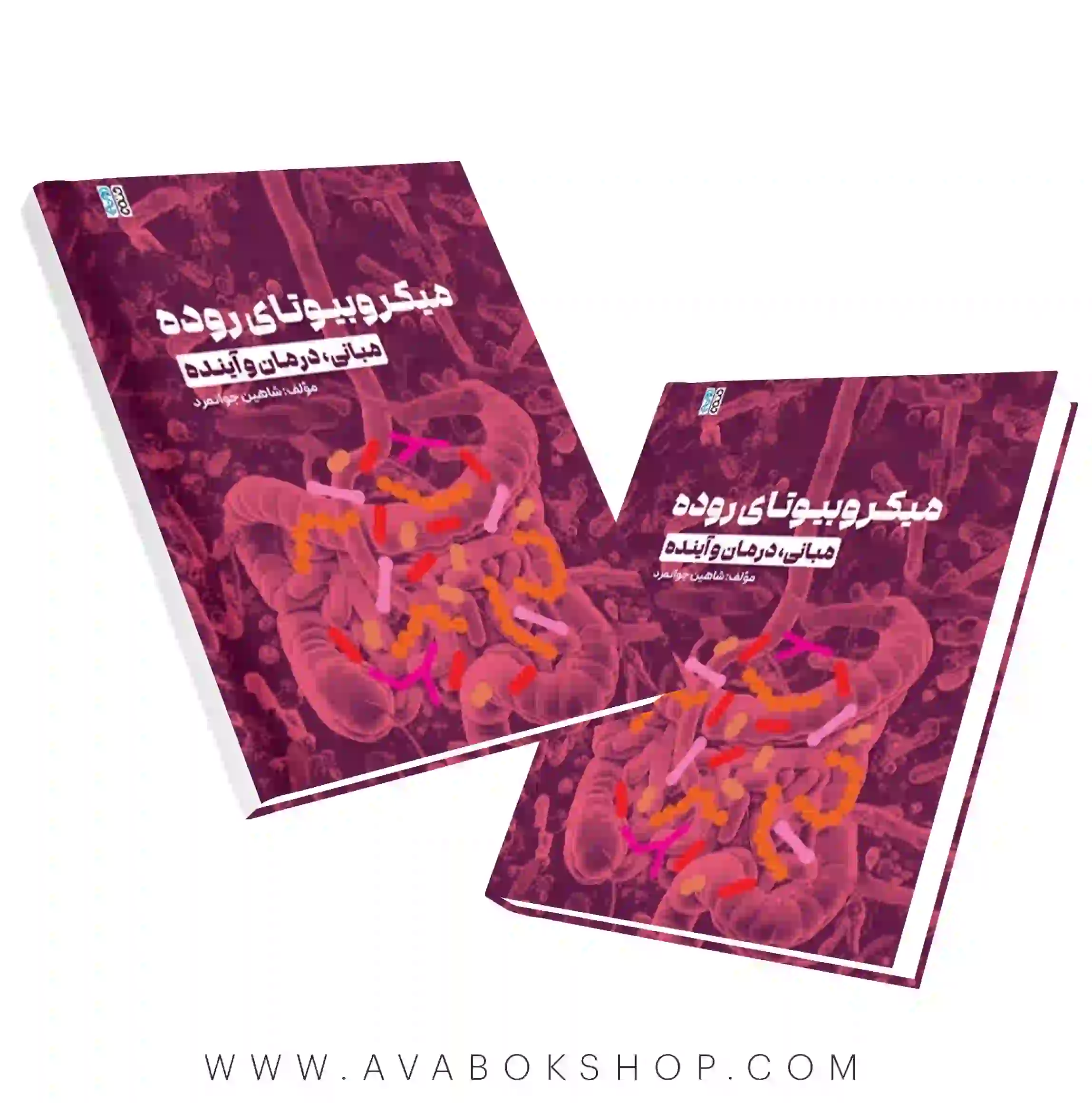 کتاب میکروبیوتای روده مبانی، درمان و انتشارات حتمی