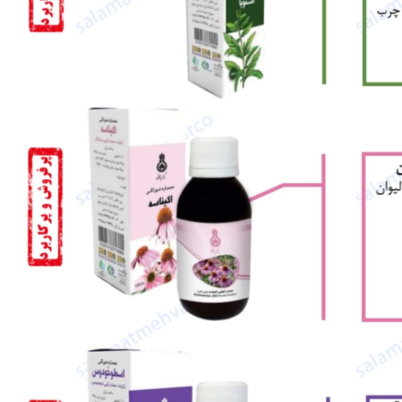 عصاره خوراکی اکیناسه120میل