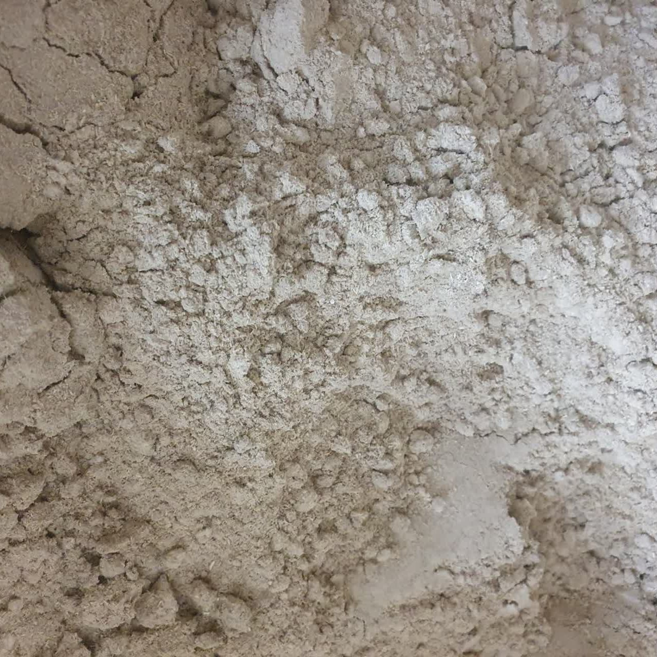 پودر چله داغی 100 گرم