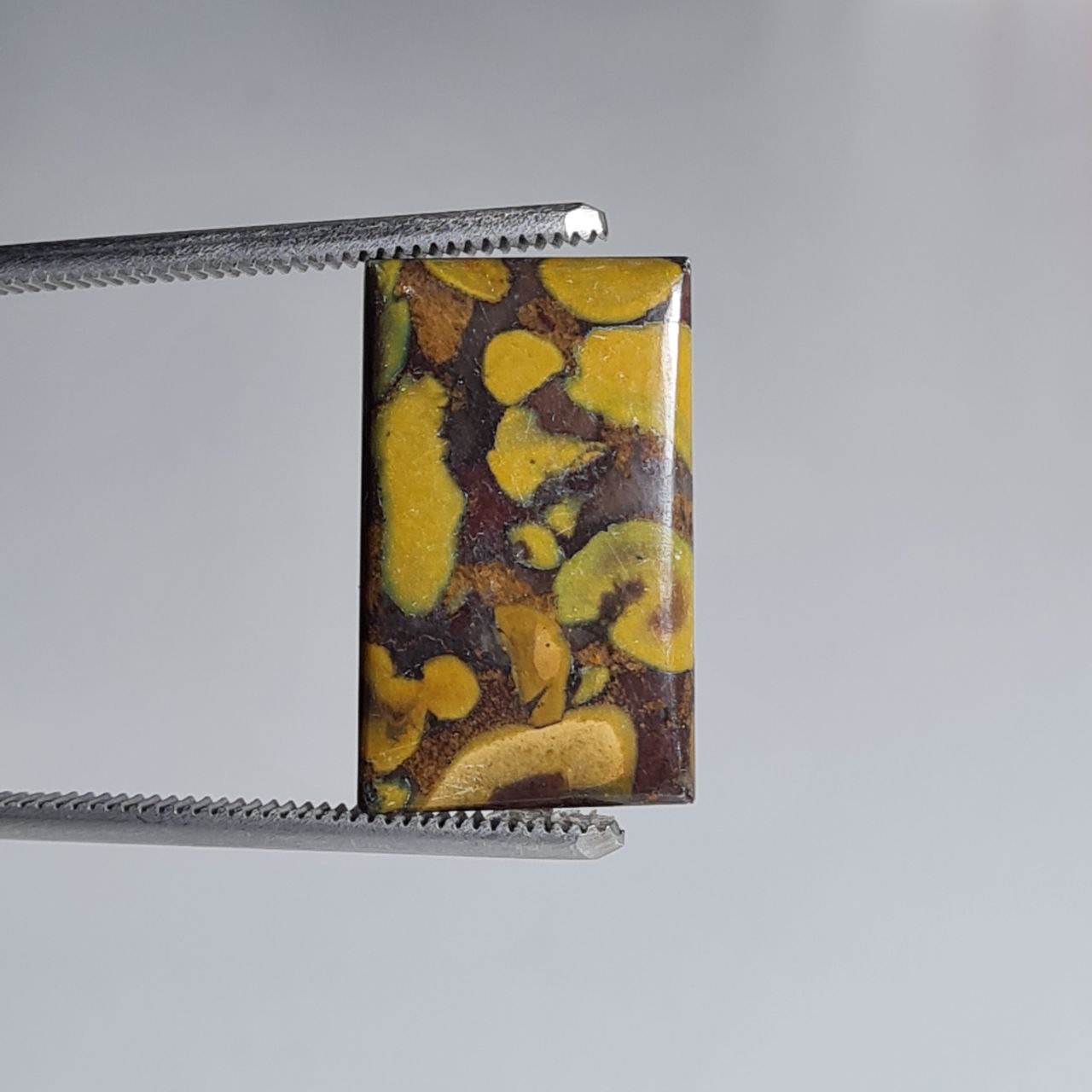 سنگ فروت جاسپر مستطیلی 6050