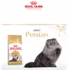 غذای خشک گربه رویال کنین مدل Persian Adult وزن 400 گرم
