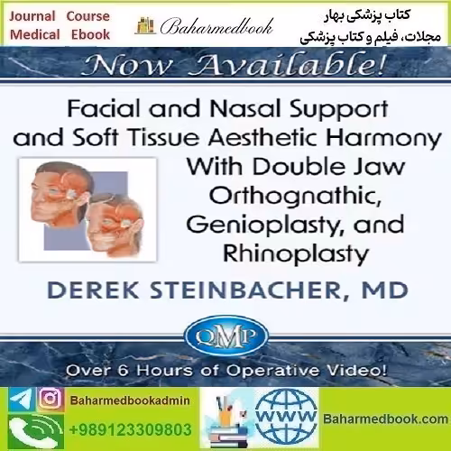 Facial and Nasal Support and Soft Tissue Aesthetic Harmony