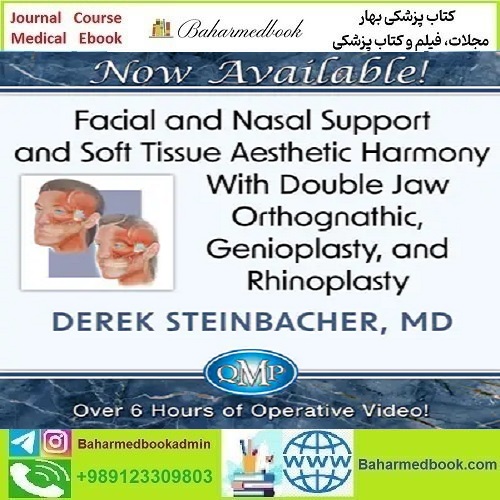 Facial and Nasal Support and Soft Tissue Aesthetic Harmony