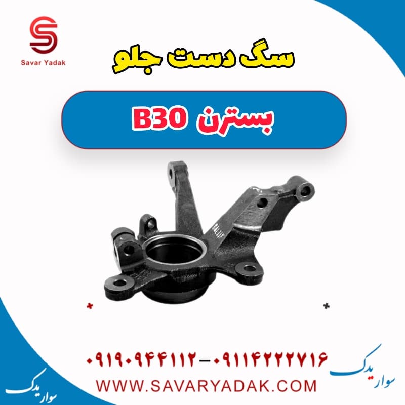 سگ دست جلو بسترن B30