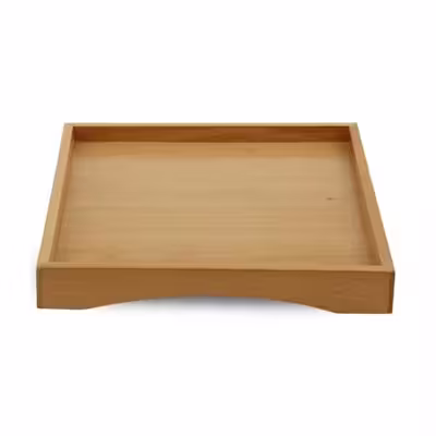 سینی مدل WST-3060-REMY