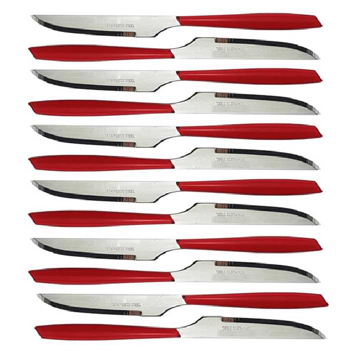 کارد میوه خوری 12 پارچه پرنس هوم مدل امپریال 6334