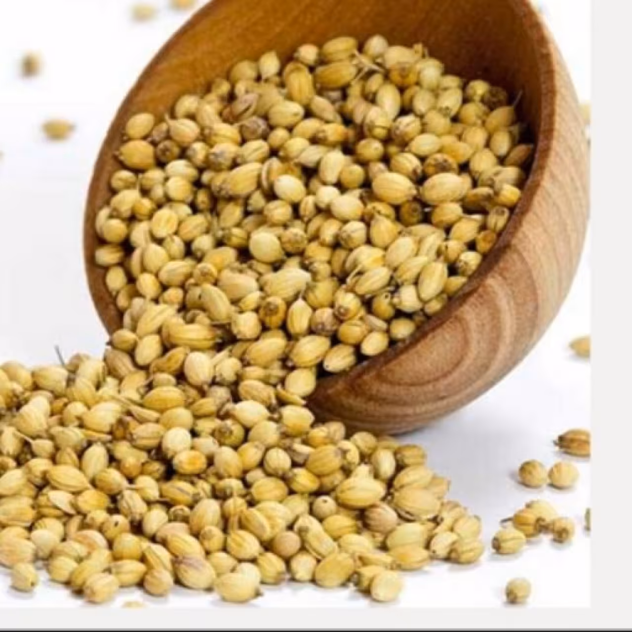تخم گشنیز 100 گرمی
