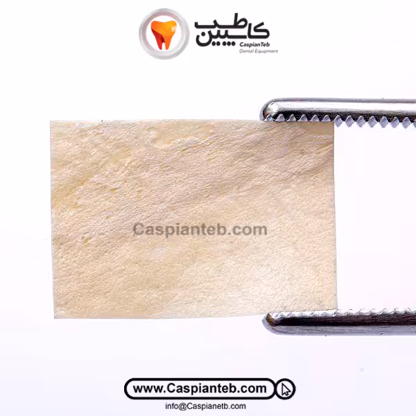 آلودرم itp