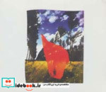 قیمت و خرید کتاب ای کاش اینجا بودی اثر گروه پینک فلوید | ایده بوک