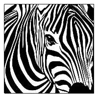 تابلو نقاشی اکرلیک مدل گوره خر