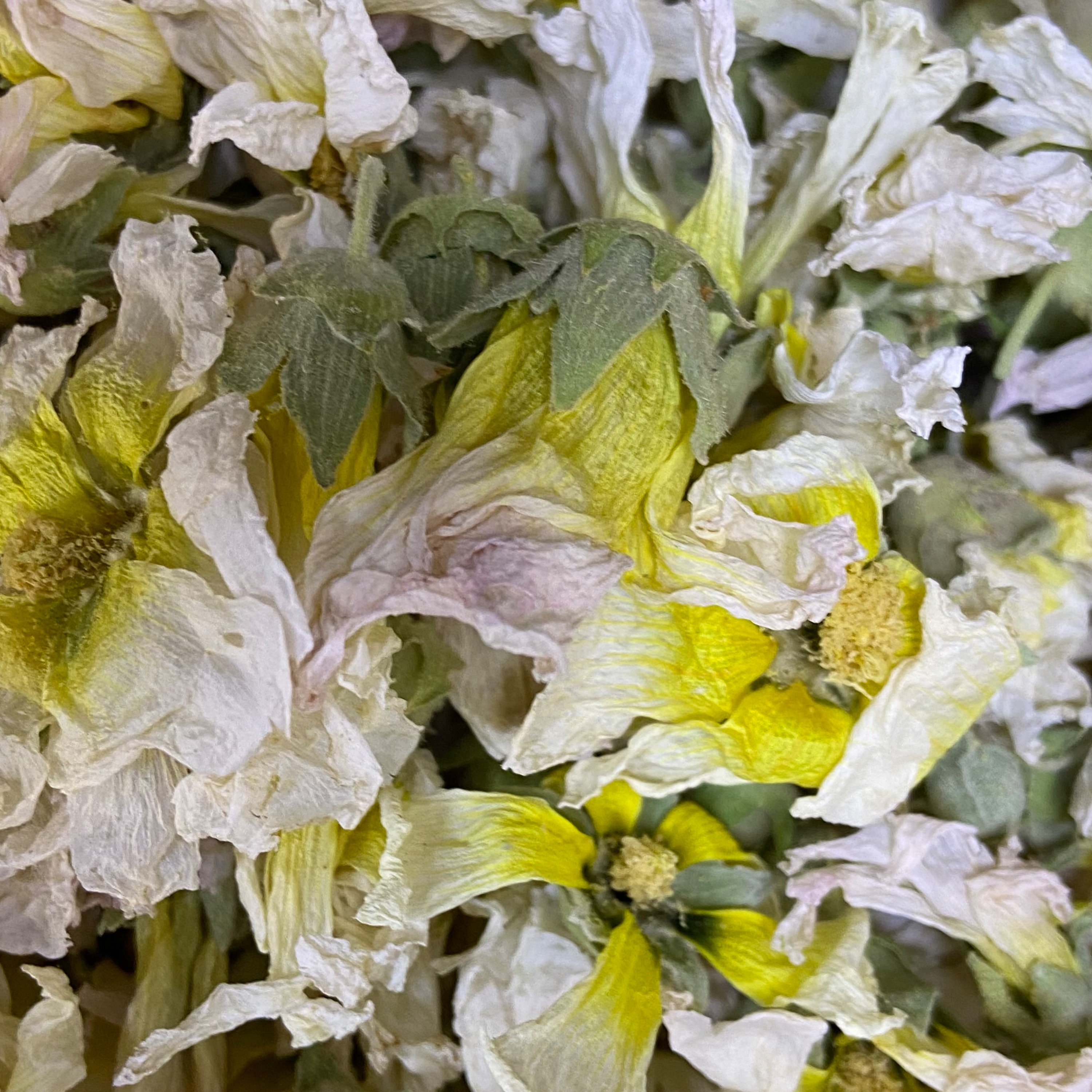 گل ختمی 400 گرمی