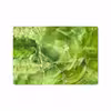 برچسب پوششی ماهوت مدل Green Crystal Marble مناسب برای تبلت اپل iPad Pro 10.5 2017 A1701