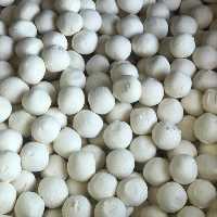 کشک گاوی حاوی کلسیم فراوان جایگزین تنقلات ناسالم برای کودکان