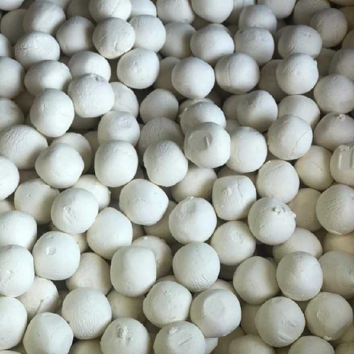 کشک گاوی حاوی کلسیم فراوان جایگزین تنقلات ناسالم برای کودکان