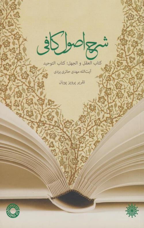 شرح اصول کافی