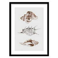 قیمت و خرید تابلو دکوراتیو مدل نقاشی صدف