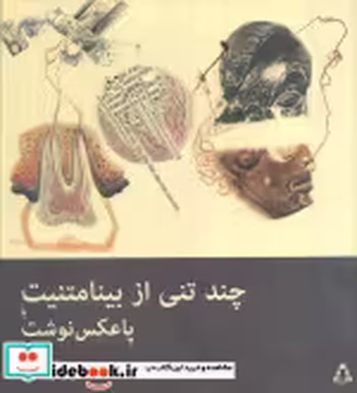 قیمت و خرید کتاب چند تنی از بینامتنیت یا پاعکس نوشت | ایده بوک