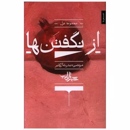 کتاب از نگفتن ها اثر مرتضی حیدری