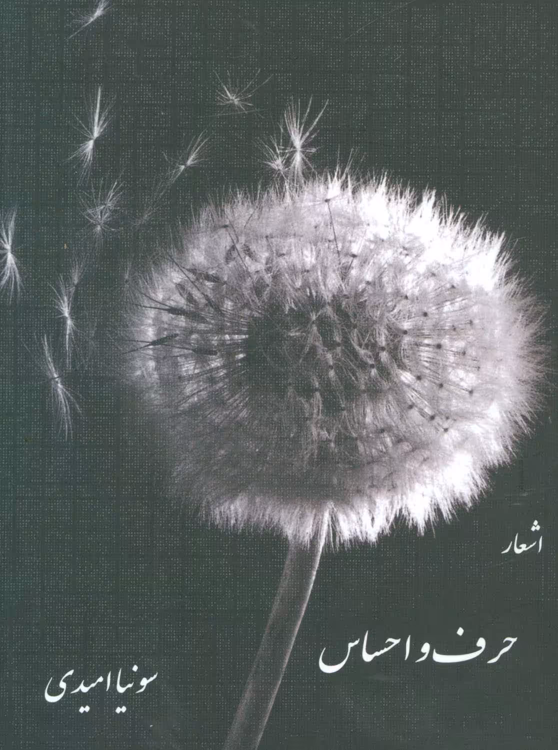 حرف و احساس (اشعار) - ناشربوک | خرید آنلاین کتاب