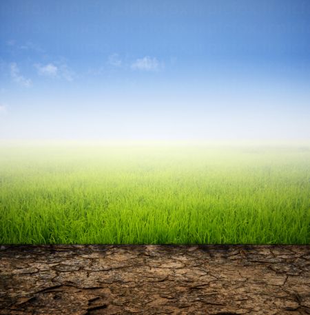 خرید و دانلود عکس Background-Part-18 کد 5425 | پیک فاکس | Pic Fox