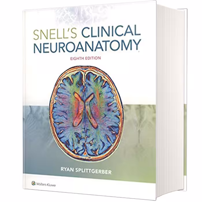 کتاب Snells Clinical Neuroanatomy اثر Ryan Splittgerber انتشارات لیپین کات