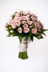 خرید و دانلود عکس Flower-Part-2 کد 17741 | پیک فاکس | Pic Fox