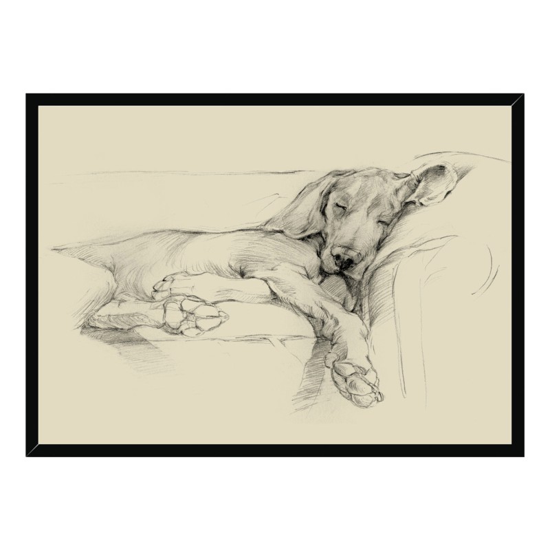 تابلو مدل دکوراتیو سگ خوابیده