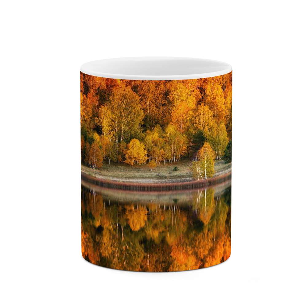 ماگ کاکتی طرح منظره مدل mgs15414